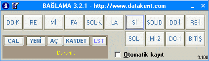 Bağlama Resim 2
